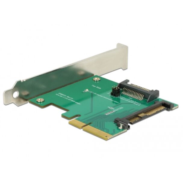 DeLOCK 89673 scheda di interfaccia e adattatore Interno PCI, SATA, U.2