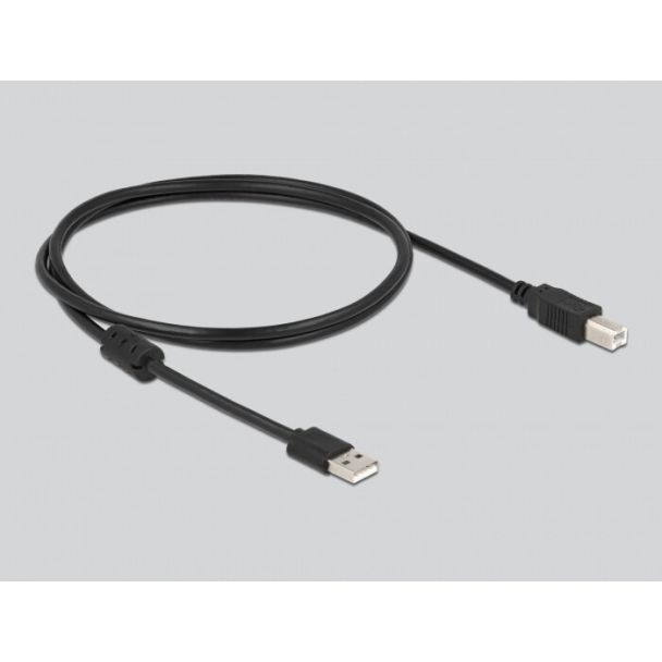 DeLOCK Scanner di codici a barre da 2,4 GHz 1D e 2D con base di ricarica - Multilingue
