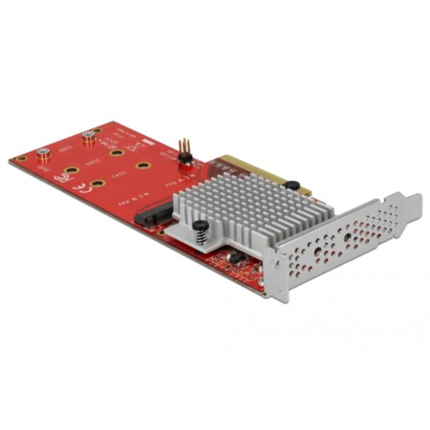 DeLOCK 90305 scheda di interfaccia e adattatore Interno M.2
