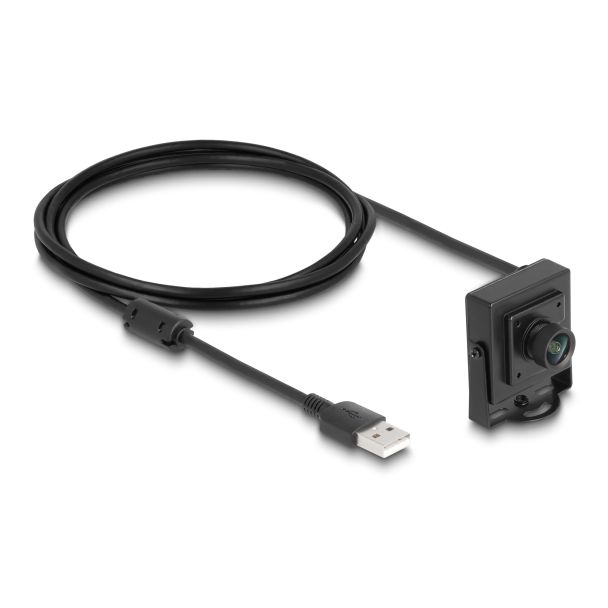 DeLOCK USB 2.0 Fotocamera 2,1 megapixel 100° a fuoco fisso