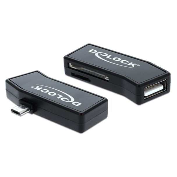 DeLOCK 91730 lettore di schede USB 2.0 Nero