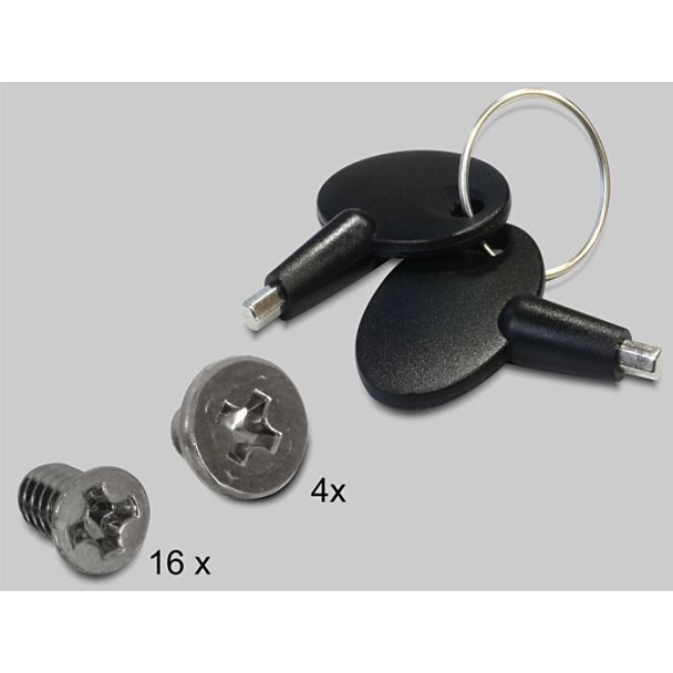 DeLOCK 47220 pannello drive bay Nero