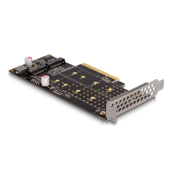 DeLOCK Scheda PCI Express x8 a 2 x interno NVMe M.2 Chiave M - Biforcazione - Fattore di forma a basso profilo