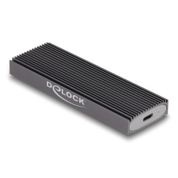 DeLOCK Custodia esterna USB Type-C Combo per M.2 NVMe PCIe o SATA SSD - senza attrezzi