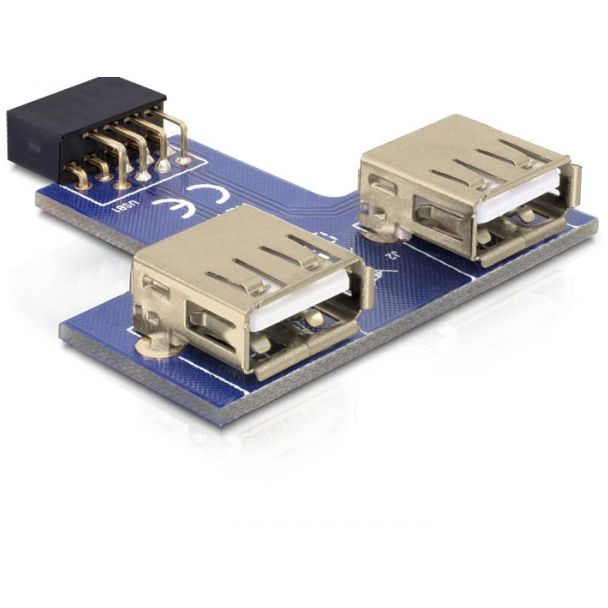 DeLOCK 9-pin 2.54 mm/2 x USB 2.0 1 x 9-pin 2.54 mm 2 x USB 2.0-A Nero, Blu, Argento