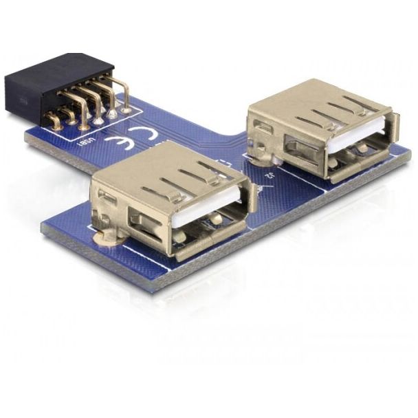 DeLOCK 9-pin 2.54 mm/2 x USB 2.0 1 x 9-pin 2.54 mm 2 x USB 2.0-A Nero, Blu, Argento