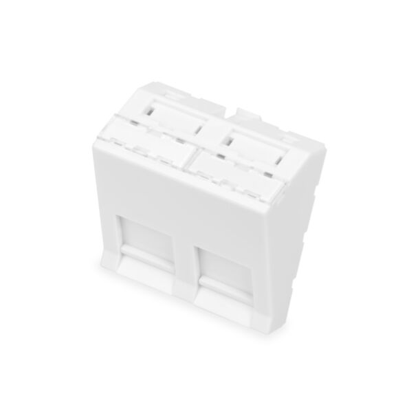 Digitus Pannello frontale, 2 porte, 45 x 45 mm, angolato, per telaio DN-93802-5-SH