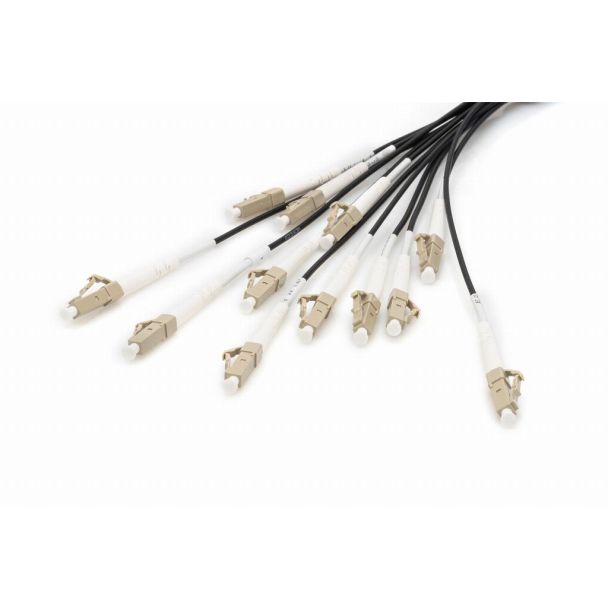 Digitus Cavo breakout universale in fibra ottica dotato di terminali, Multimode OM4, 12 fibre, LC/UPC - LC/UPC