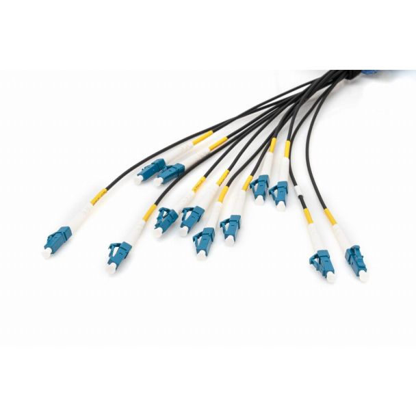 Digitus Cavo breakout universale in fibra ottica dotato di terminali, Multimode OS2, 12 fibre, LC/UPC - LC/UPC