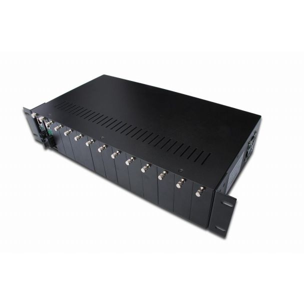 Digitus Case di conversione media a 14 Slot