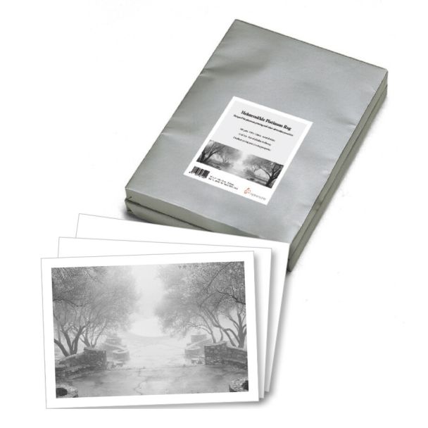 Hahnemühle Platinum Rag Art paper 5 sheets