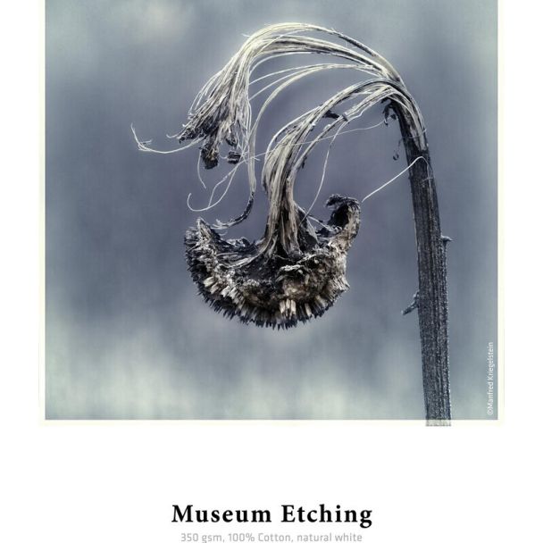 Hahnemühle Museum Etching Art paper 25 sheets