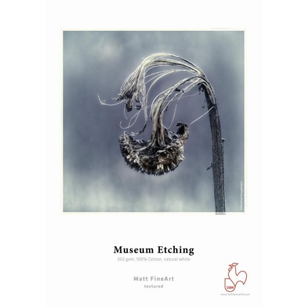 Hahnemühle Museum Etching Foglio d'arte 25 fogli