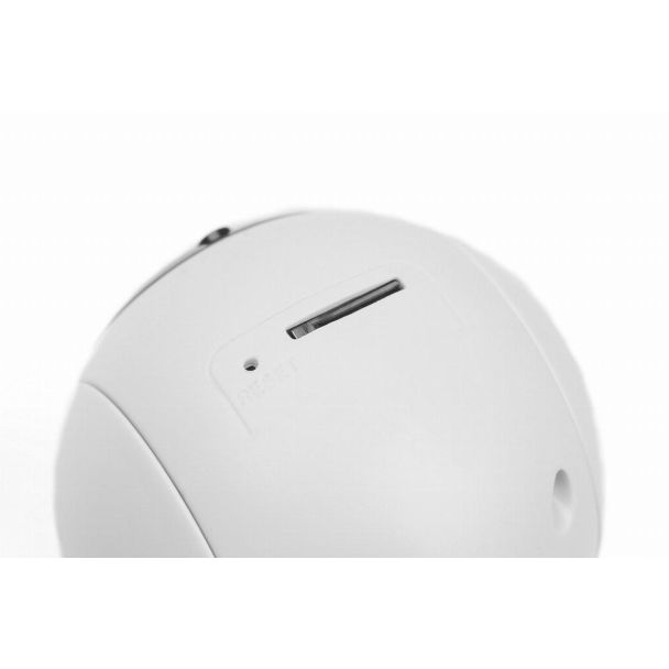 Digitus Telecamera smart da interno PT Full HD con Auto-Tracking, WLAN + comando vocale