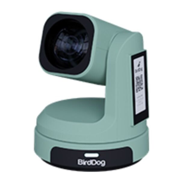 BirdDog Max Green BDMAX-GREEN