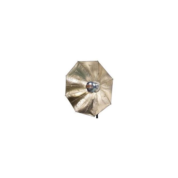 Aurora Firefly II Octa cm50 silver - gold interior rectangular head