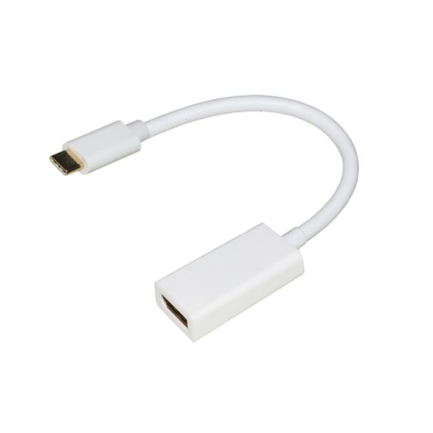 Link LKADAT132 adattatore USB-C / DisplayPort femmina