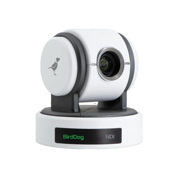 BirdDog Eyes P100 1080P telecamera PTZ full NDI con SDI (Bianco)