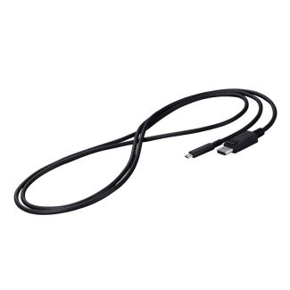 EIZO CP200-BK cavo DisplayPort 2 m USB tipo-C Nero