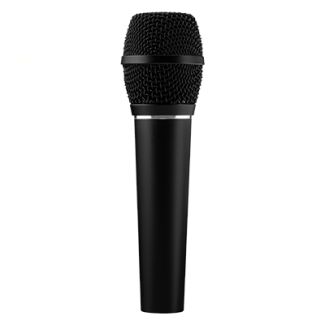 Earthworks SR117 microphone Black Stage/performance microphone