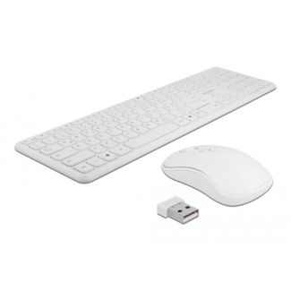 DeLOCK Set tastiera e mouse USB 2,4 GHz senza fili bianco