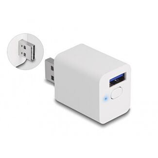 DeLOCK Interruttore intelligente WLAN EASY-USB MQTT