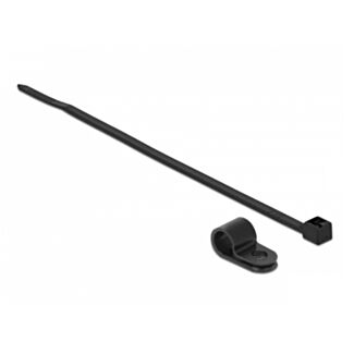 DeLOCK 18866 fascetta Fascetta per montaggio a vite Nylon Nero 10 pz