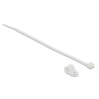DeLOCK 18865 fascetta Fascetta per montaggio a vite Nylon Bianco 10 pz