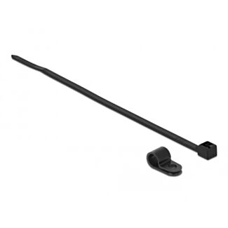 DeLOCK 18864 fascetta Fascetta per montaggio a vite Nylon Nero 10 pz