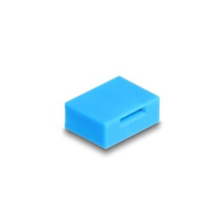 DeLOCK 10 Blocco porta per porta USB Tipa-A femmina