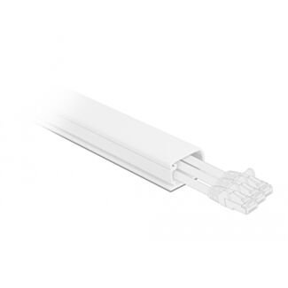 DeLOCK Passacavi con coperchio 57 x 28 mm - lunghezza 1 m bianco