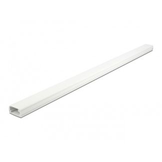 DeLOCK Cable Duct with Cover self-adhesive 26 x 13 mm - length 1 m white