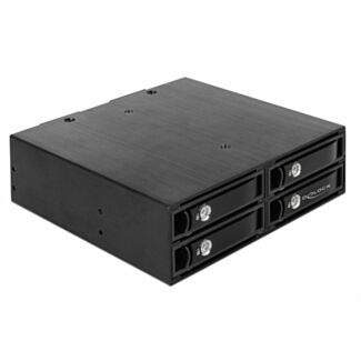 DeLOCK 47233 pannello drive bay Nero