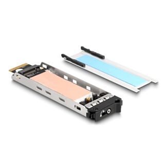 DeLOCK Vassoio interno Rack mobile 1 x M.2 NVMe SSD per Mobile Rack 47028 / 47042 / 47070 / 47072 / 47111 / 47117 / 47126 / 47129