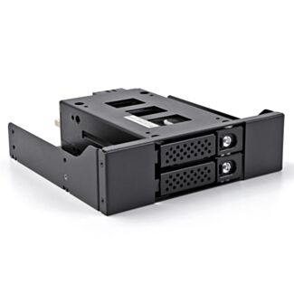 DeLOCK Bay rack mobile sottile per 2 x SSD da 2.5″ U.2 NVMe con telaio da 5.25″