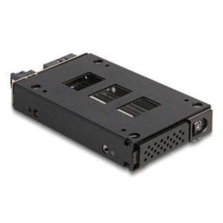 DeLOCK Bay rack mobile sottile per 1 x SSD da 2.5″ U.2 NVMe