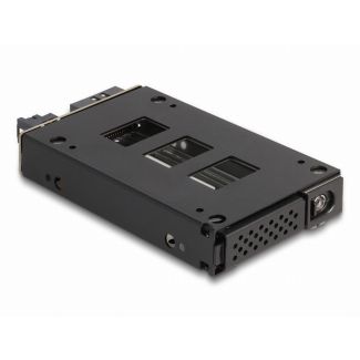 DeLOCK Slim Bay Mobile Rack for 1 x 2.5″ U.2 NVMe SSD