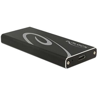 DeLOCK 42572 contenitore di unità di archiviazione Box esterno SSD Nero