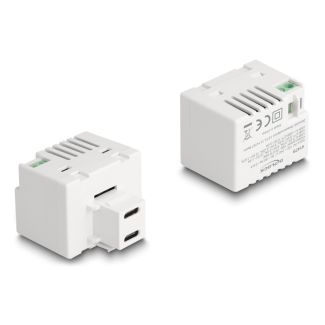 DeLOCK Modulo Keystone con 2 porte di ricarica USB Type-C PD 20 W bianco