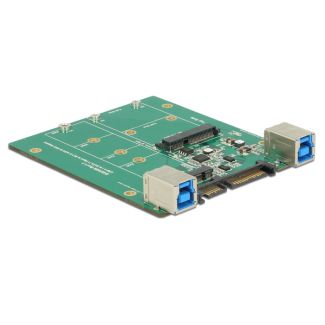 DeLOCK 62732 scheda di interfaccia e adattatore Interno M.2, mSATA