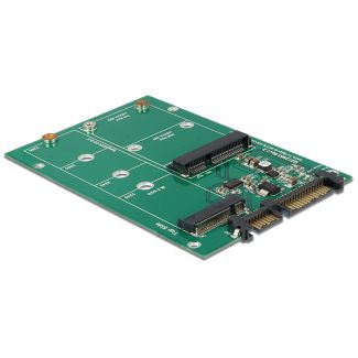 DeLOCK 62670 scheda di interfaccia e adattatore Interno M.2, mSATA