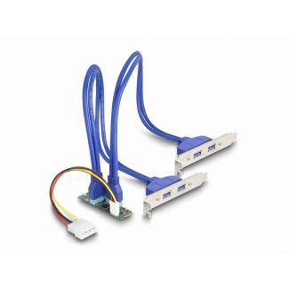 DeLOCK 61066 interface cards/adapter Internal USB 3.2 Gen 1 (3.1 Gen 1)