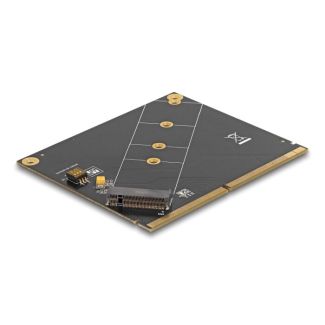 DeLOCK Converter MXM to M.2 NVMe Key M slot