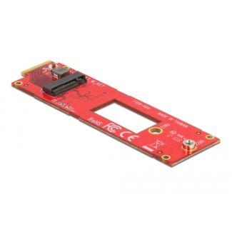 DeLOCK Convertitore EDSFF E1.S per M.2 chiave M NVMe