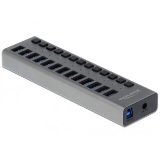 DeLOCK External USB 5 Gbps Hub with 13 Ports + Switch
