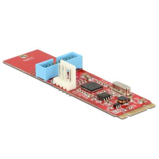 DeLOCK 62842 scheda di interfaccia e adattatore Interno USB 3.2 Gen 1 (3.1 Gen 1)