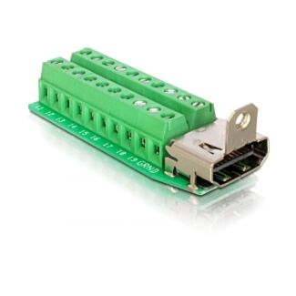DeLOCK Adapter HDMI female > Terminal Block 20pin