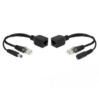 DeLOCK 66024 PoE adapter Fast Ethernet