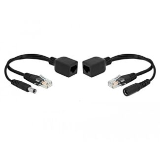 DeLOCK 66023 adattatore PoE e iniettore Fast Ethernet