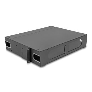 DeLOCK 19″ Fiber Optic Patch Panel with viewing window unequipped 2U dark grey